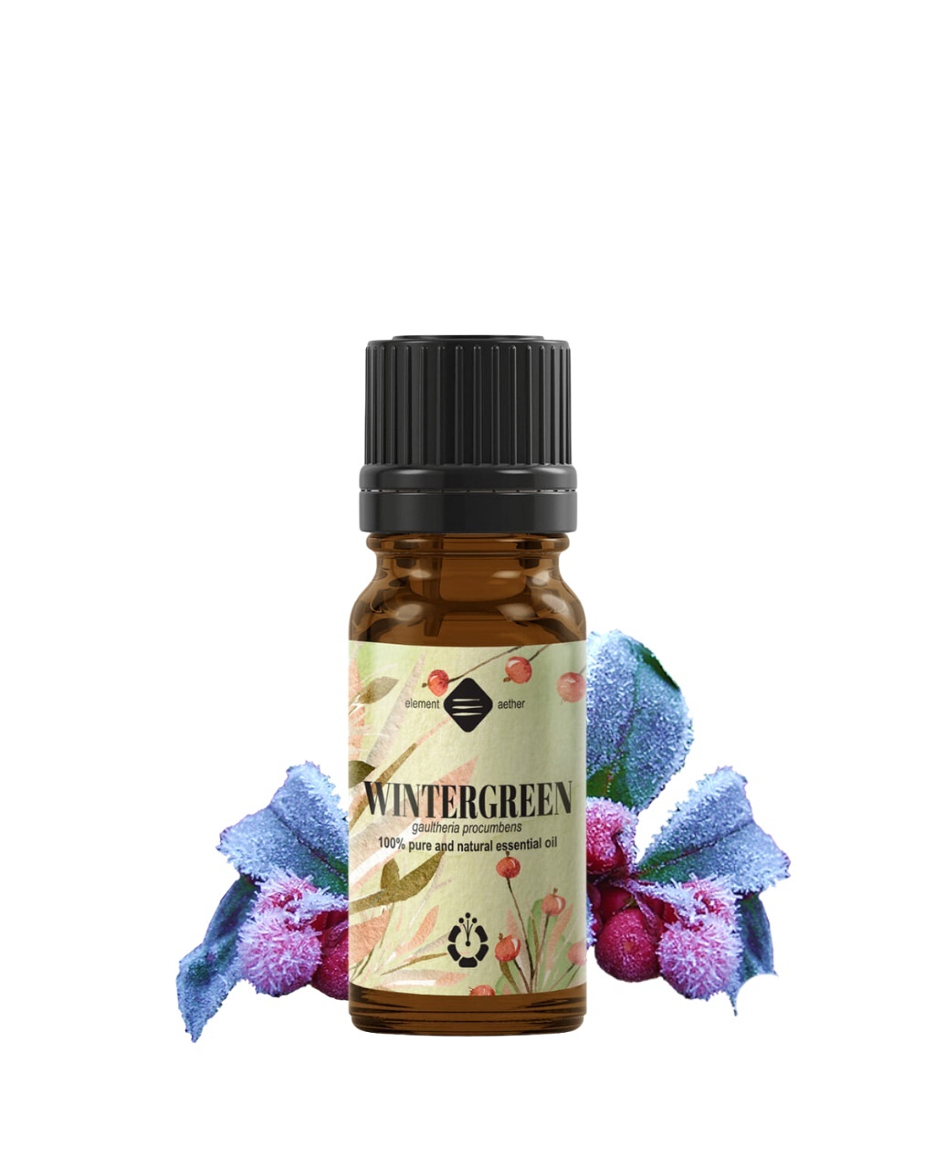 Gaultheria fragans of Wintergreen etherische olie bevat natuurlijk