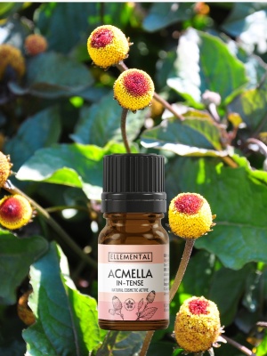 Acmella In-Tense extract - Img 5