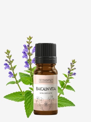 Baicalina Vita activa
