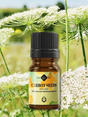 Carrot seeds essential oil - Img 3