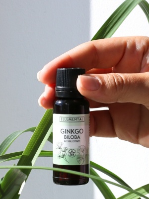 Extracto de Ginkgo biloba - Img 4