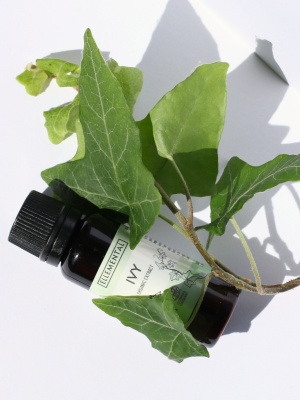 Ivy extract Organic - Img 4
