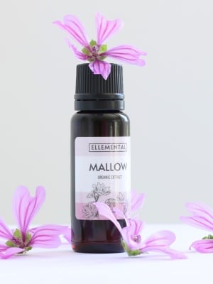 Mallow extract Organic - Img 3