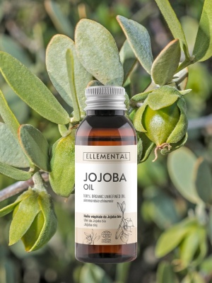 Aceite de jojoba orgánico - Img 6