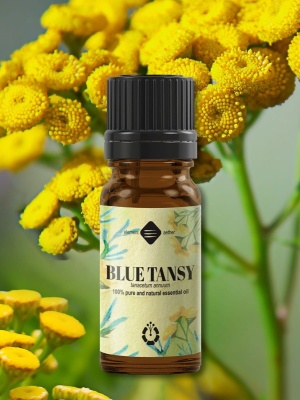 Blue Tansy ätherisches Öl - Img 3