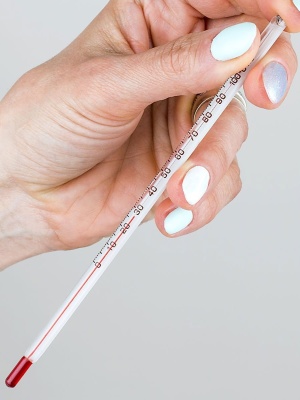 Labor-Thermometer 0°C bis +100°C - Img 3