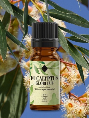 Olio essenziale biologico di eucalipto globulus - Img 3