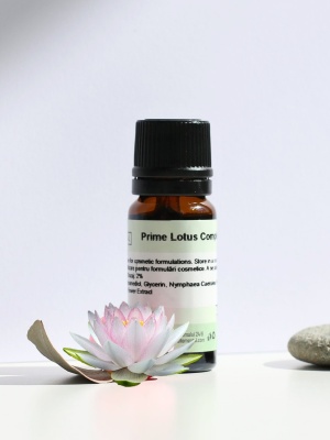Prime Lotus Complex - Img 2