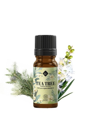 Teebaum Bio ätherisches Öl
