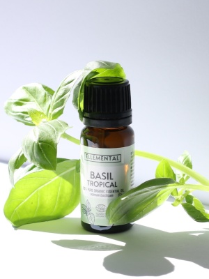 Aceite esencial de albahaca tropical ecológico - Img 3