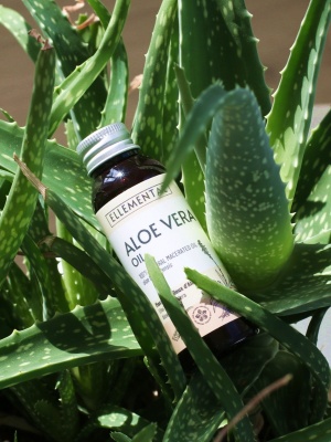 Aloe Vera Öl - Img 3