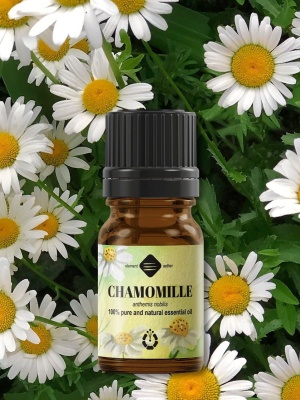 Chamomille essential oil - Img 3
