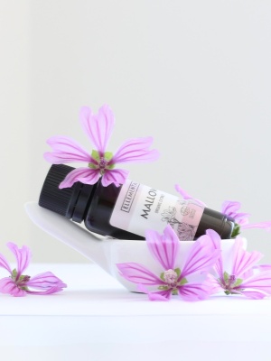 Mallow extract Organic - Img 5
