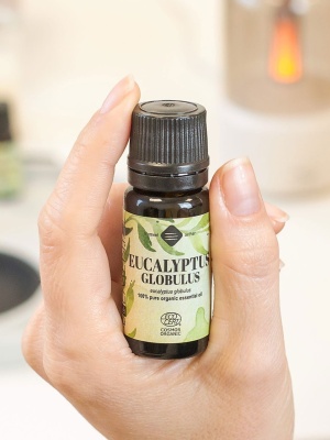 Olio essenziale biologico di eucalipto globulus - Img 4