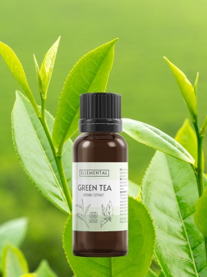 Estratto di tè verde biologico - Img 5