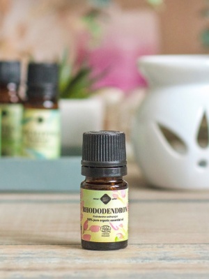Rhododendron Organic essential oil - Img 5