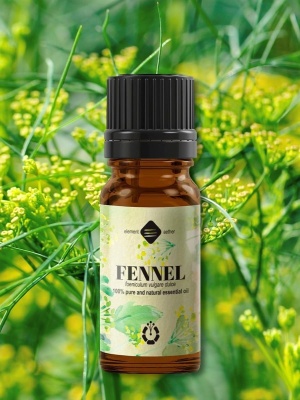 Sweet Fennel essential oil - Img 3