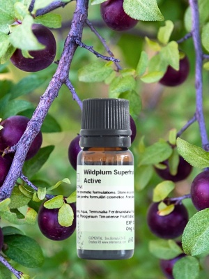 Wildplum Superfruit Active - Img 2