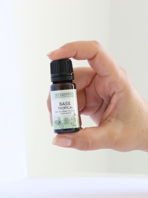 Aceite esencial de albahaca tropical ecológico - Img 5