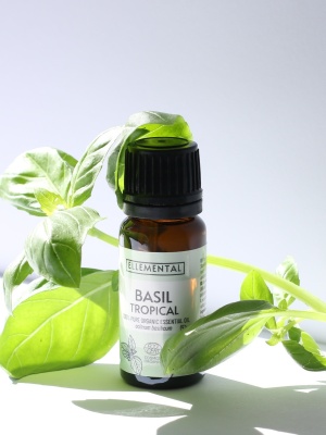 Aceite esencial de albahaca tropical ecológico - Img 2
