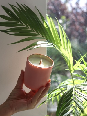 Candle jar SATIN ROSE 300 ml