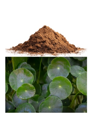 Centella Pure Powder - Img 2
