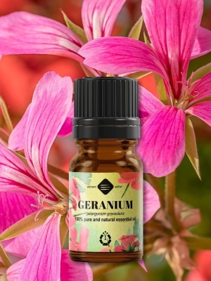 Geranium-Bourbon ätherisches Öl - Img 3