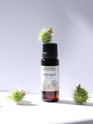 Horse Chestnut extract organic - Img 4
