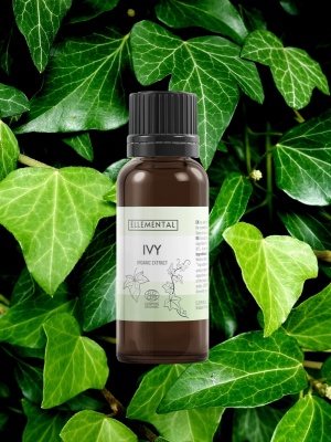 Ivy extract Organic - Img 3