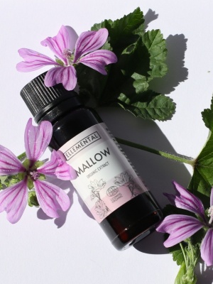 Mallow extract Organic - Img 2