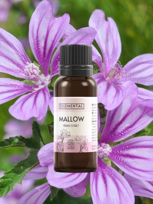 Mallow extract Organic - Img 7