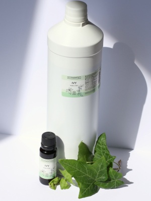 Ivy extract Organic - Img 6