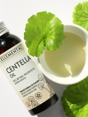 Aceite de Centella Asiática - Img 3