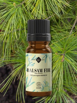 Balsam-Tanne Bio ätherisches Öl - Img 3