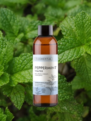 Eau de menthe poivrée biologique - Img 2