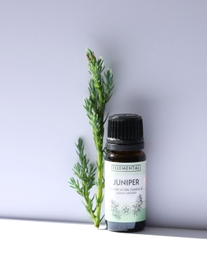 Juniper essential oil - Img 5