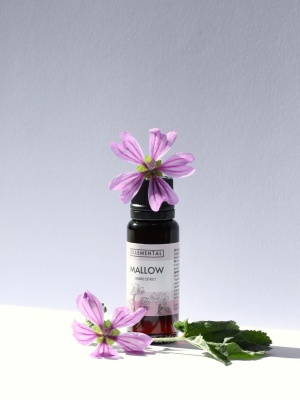 Mallow extract Organic - Img 4