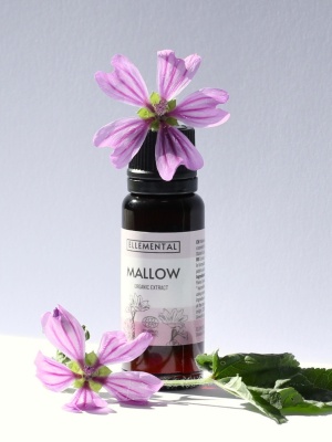 Malvenextrakt Bio - Img 4