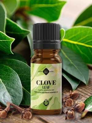 Clove leaf essential oil - Img 3