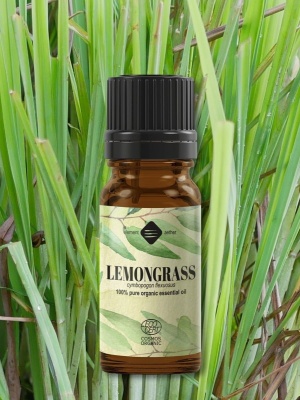 Lemongrass Organic essential oil - Img 3