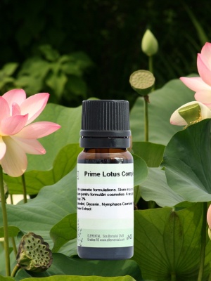 Prime Lotus Complex - Img 3