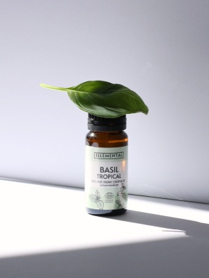 Aceite esencial de albahaca tropical ecológico - Img 4