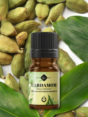 Cardamom essential oil - Img 3