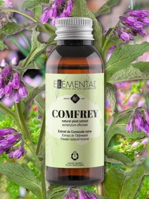 Comfrey extract organic - Img 2