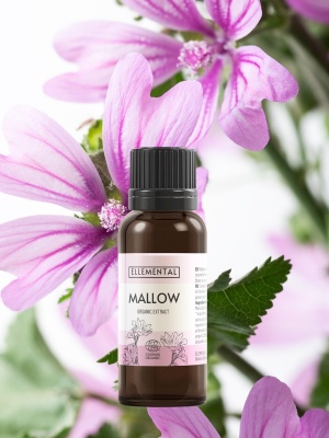 Extrait de mauve biologique - Img 6