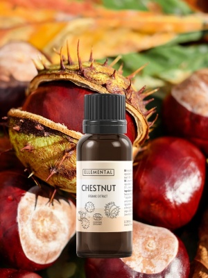 Horse Chestnut extract Organic - Img 6
