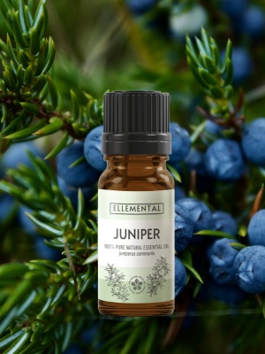Juniper essential oil - Img 2