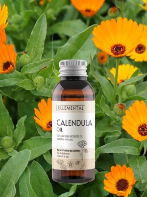 Olio di calendula - Img 7