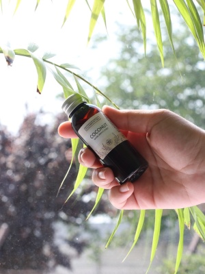 Aromatic Coconut extract - Img 3