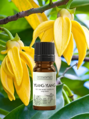 Organiczny olejek eteryczny Ylang-Ylang - Img 4